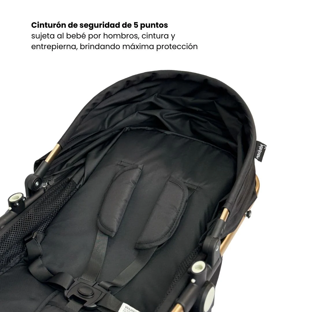 Coche Cuna Tipo Moises Small Luxury