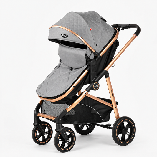 Coche Tipo Moisés Múnich Premium Con Doble Acolchado