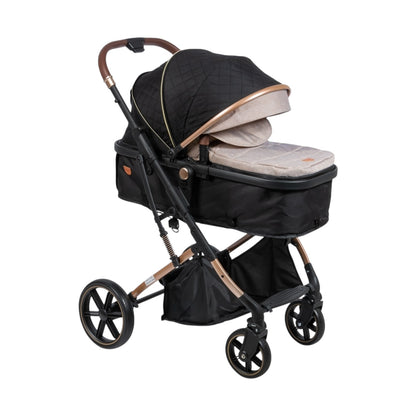 Coche Moises Saturno 126-1