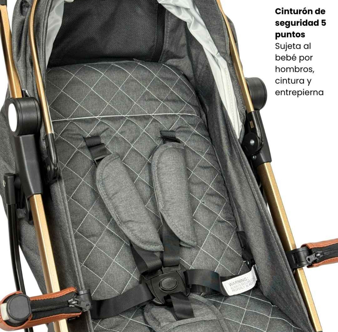 Coche Maleta Zoom Maxibaby