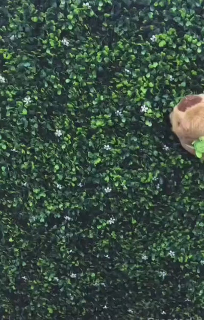 Manilla Peluche Capibara