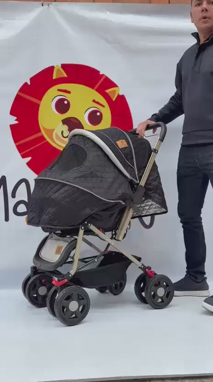 Coche Explorer Con Manija Reversible y Ruedas 360